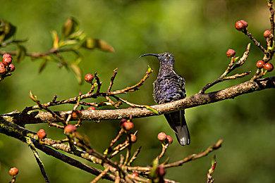 《博德之门3》将获得官方跨平台Mod支持 今年晚些时候上线